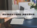 合肥黑客漫画素材下载网站（黑客动漫头像）
